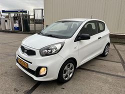 Wit Gebruikt 2013 Kia Picanto Hatchback | € 2.499 (Eerlijke prijs)