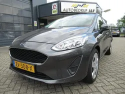 Grijs Gebruikt 2019 Ford Fiesta Trend Hatchback | € 9.450 (Eerlijke prijs)