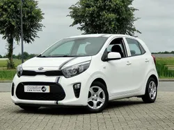 Wit Gebruikt 2018 Kia Picanto Hatchback | € 8.950 (Eerlijke prijs)