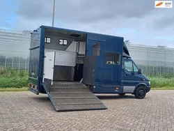 Blauw Gebruikt 1999 Mercedes Sprinter Van | € 12.750 (Iets duurder)