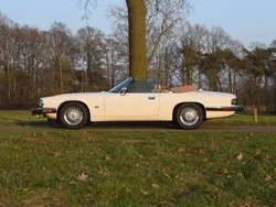 Wit Gebruikt 1993 Jaguar XJS Cabriolet | € 26.950