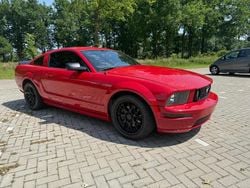 Rood Gebruikt 2005 Ford Mustang GT Coupé | € 14.900