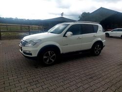 Gebruikt 2016 Ssangyong (KGM) Rexton SUV | € 13.750