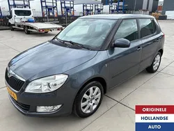Grijs Gebruikt 2010 Skoda Fabia Elegance Hatchback | € 6.995 (Eerlijke prijs)