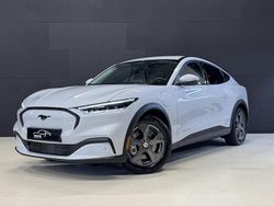 Wit Gebruikt 2021 Ford Mustang SUV | € 21.800