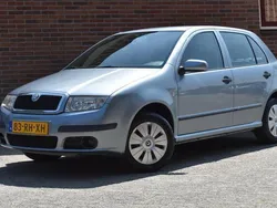 Grijs, metallic lak Gebruikt 2005 Skoda Fabia Ambiente Hatchback | € 1.949 (Eerlijke prijs)