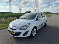 Wit Gebruikt 2014 Opel Blitz MPV | € 5.750
