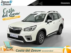 Wit Gebruikt 2019 Subaru Forester Comfort SUV | € 29.335 (Super prijs)