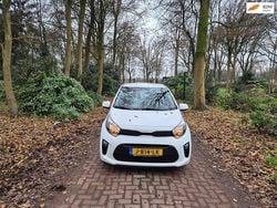 Wit Gebruikt 2020 Kia Picanto Comfort Hatchback | € 9.895 (Eerlijke prijs)