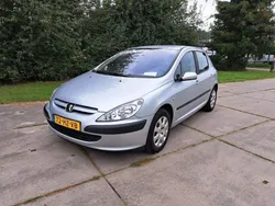 Grijs Gebruikt 2002 Peugeot 307 Hatchback | € 1.750 (Eerlijke prijs)