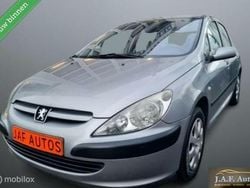 Grijs Gebruikt 2004 Peugeot 307 Hatchback | € 1.750 (Eerlijke prijs)