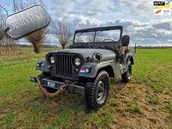 Groen Gebruikt 1955 Jeep Willys | € 16.950