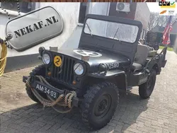 Groen Gebruikt 1951 Jeep Willys | € 21.950