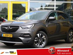 Grijs Gebruikt 2020 Opel Grandland X Innovation SUV | € 15.900 (Super prijs)