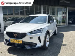Wit Gebruikt 2024 Cupra Formentor SUV | € 34.900 (Iets duurder)