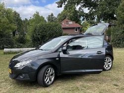 Grijs Gebruikt 2009 Seat Ibiza Reference MPV | € 4.000 (Iets duurder)