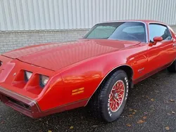 Rood Gebruikt 1979 Pontiac Firebird | € 9.950