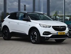 Wit Gebruikt 2020 Opel Grandland X Innovation SUV | € 19.947 (Eerlijke prijs)