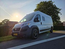 Wit Gebruikt 2016 Fiat Ducato Van | € 35.999
