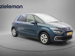 Blauw Gebruikt 2020 Citroën C4 SpaceTourer Business Class MPV | € 12.845 (Super prijs)