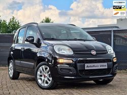 Zwart Gebruikt 2013 Fiat Panda Hatchback | € 7.995 (Iets duurder)