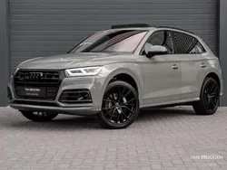 Grijs Gebruikt 2020 Audi Q5 S-Line SUV | € 43.990 (Eerlijke prijs)