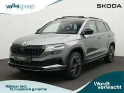 Grijs, metallic lak Gebruikt 2024 Skoda Karoq Business Line SUV | € 42.900