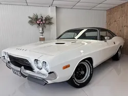 Wit Gebruikt 1973 Dodge Challenger Coupé | € 54.950