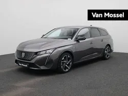 Stationwagon Gebruikt 2023 Peugeot 308 Allure Stationwagen | € 27.945 (Eerlijke prijs)