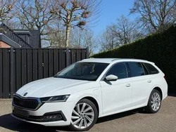 Overige Gebruikt 2021 Skoda Octavia Business Line Stationwagen | € 19.490 (Eerlijke prijs)