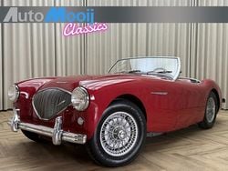 Rood Gebruikt 1956 Austin Healey 100 Cabriolet | € 32.500