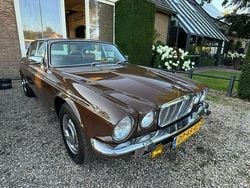 Bruin Gebruikt 1979 Jaguar XJ Sedan | € 16.750