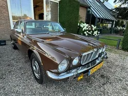 Bruin Gebruikt 1979 Jaguar XJ Sedan | € 16.750