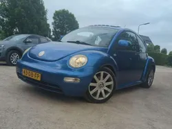 VW Beetle
