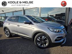 Suv Gebruikt 2020 Opel Grandland X Business SUV | € 15.450 (Goede deal)