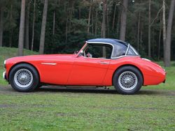 Rood Gebruikt 1958 Austin-Healey 100 Cabriolet | € 39.000