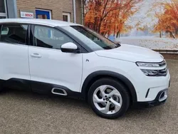 Wit Gebruikt 2021 Citroën C5 Aircross Business Class SUV | € 22.950 (Goede deal)