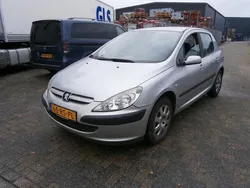 Grijs Gebruikt 2005 Peugeot 307 Hatchback | € 1.799 (Eerlijke prijs)