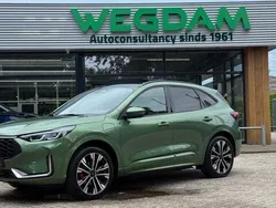 Groen Gebruikt 2024 Ford Kuga ST-Line X SUV | € 41.870 (Goede deal)