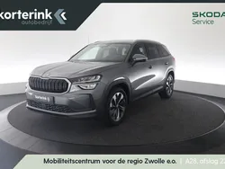 Grijs Gebruikt 2024 Skoda Kodiaq Business Line SUV | € 46.950 (Iets duurder)