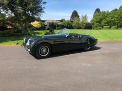 Groen Gebruikt 1954 Jaguar XK Cabriolet | € 101.440