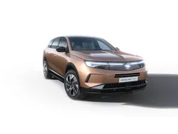 Bruin Nieuw 2025 Opel Grandland X SUV | € 48.098