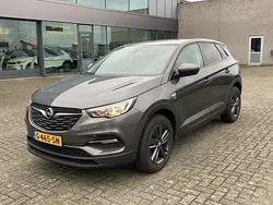 Grijs Gebruikt 2019 Opel Grandland X Edition SUV | € 12.945 (Goede deal)