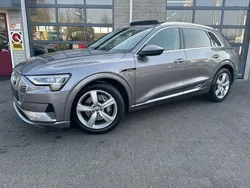 Grijs Gebruikt 2019 Audi e-tron Business SUV | € 24.850 (Goede deal)