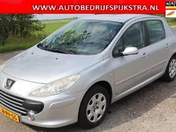 Grijs Gebruikt 2005 Peugeot 307 Hatchback | € 1.895 (Iets duurder)