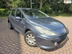 Grijs Gebruikt 2006 Peugeot 307 Hatchback | € 650 (Goede deal)