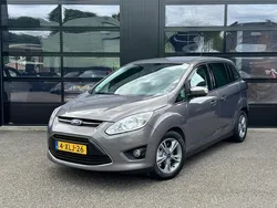 Bruin Gebruikt 2014 Ford Grand C-Max MPV | € 4.999 (Eerlijke prijs)