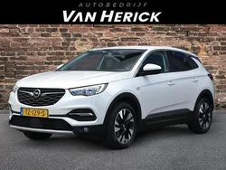 Wit Gebruikt 2018 Opel Grandland X Innovation SUV | € 12.445 (Eerlijke prijs)