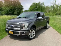 Grijs Gebruikt 2017 Ford F-150 Platinum Pickup | € 31.000 (Super prijs)