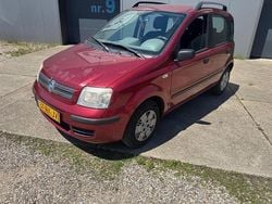 Rood Gebruikt 2005 Fiat Panda Hatchback | € 899 (Goede deal)